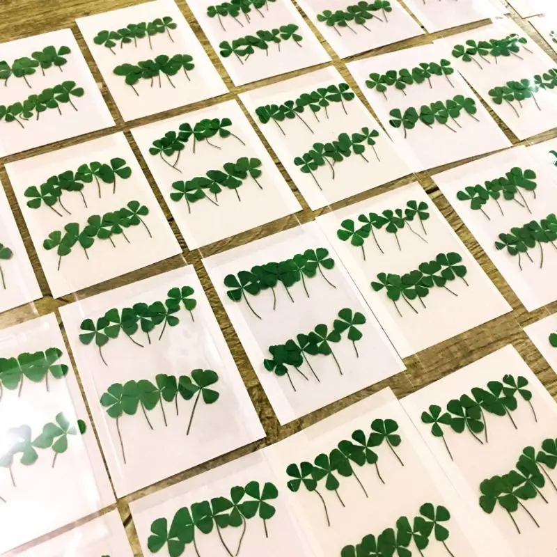 Phone Accessories Baby - 12Pcs Lucky Dried Leaf Clover UV